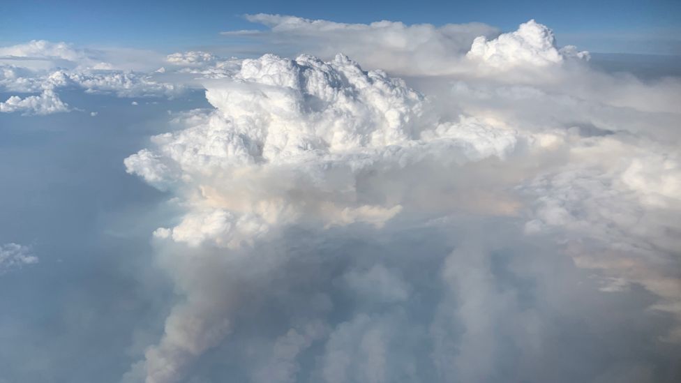 PyroCbs can send soot and water high into the stratosphere, where they linger for longer than they do at lower altitudes (Credit: David Peterson/Nasa Earth Observatory)