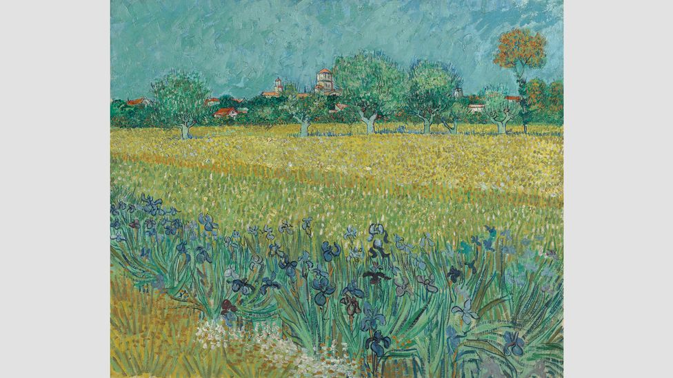 Field with Irises near Arles, 1888 – The Houston exhibition explores the two artists' love of nature and Van Gogh's influence on Hockney (Credit: Vincent van Gogh Foundation)