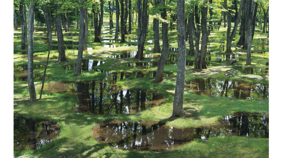 The dreamlike Art Biotop water garden in Nasu Japan provides miniature habitats for wildlife (Credit: junya.ishigami + associates)