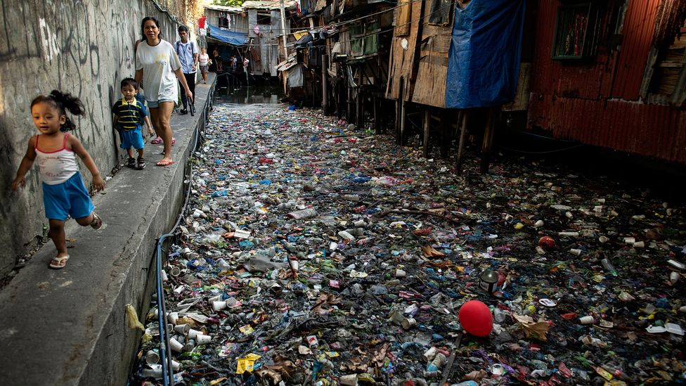 In amongst the rubbish we throw away, some species are evolving to thrive in the polluted environments we are creating (Credit: Noel Celis/AFP/Getty Images)