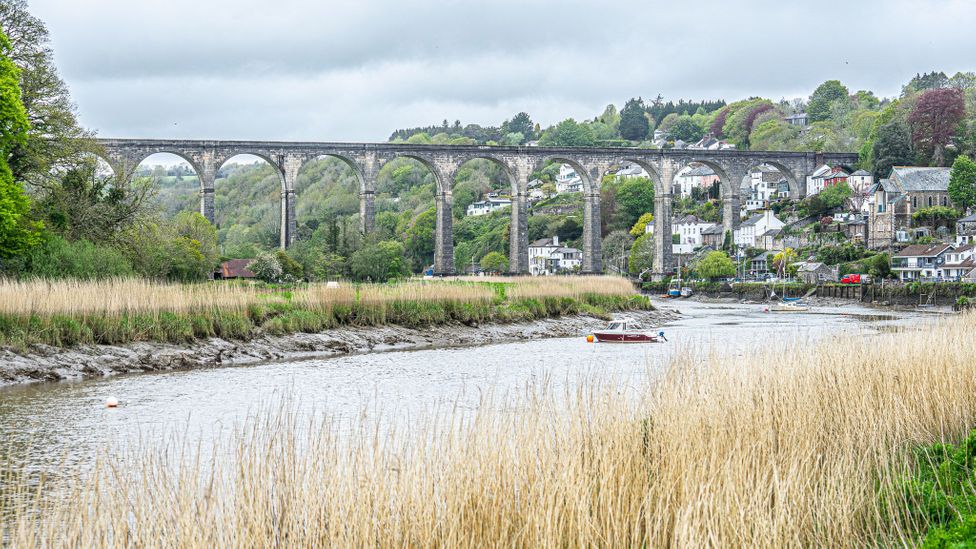 Rzeka Tamar oddziela Kornwalię od Devon i tworzy jedną z najstarszych granic w Europie (Źródło: Richard Collett)
