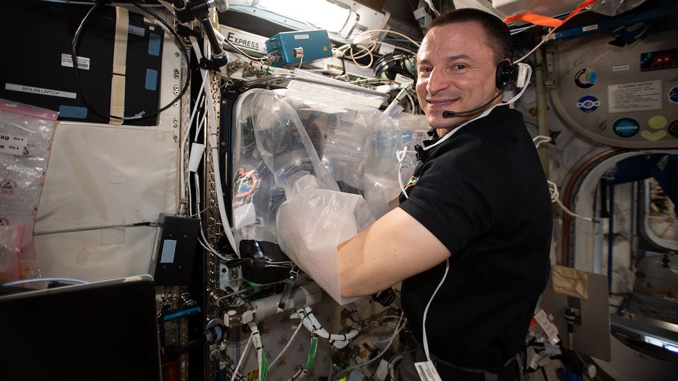 Experiments conducted on the International Space Station by Andrew Morgan showed organs could be printed a low gravity environment (Credit: Nasa)
