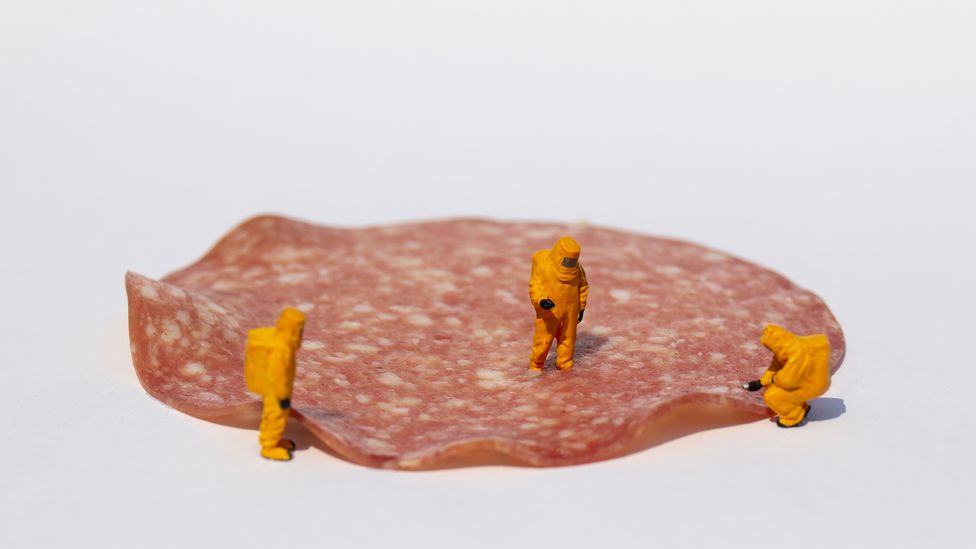 Model scientists on slice of salami (Credit: Getty Images)