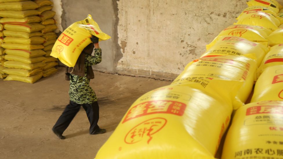 Synthetic fertilisers are a large source of N2O emissions in agriculture (Credit: Getty Images)