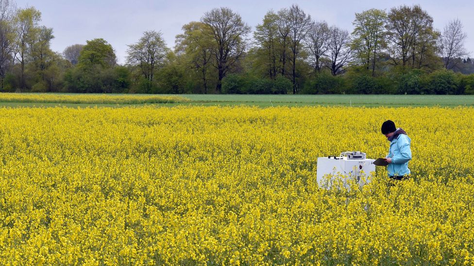 Microbes in the soil break ammonia down through a series of reactions, releasing N2O in the process, which can be measured in the field (Credit: Getty Images)