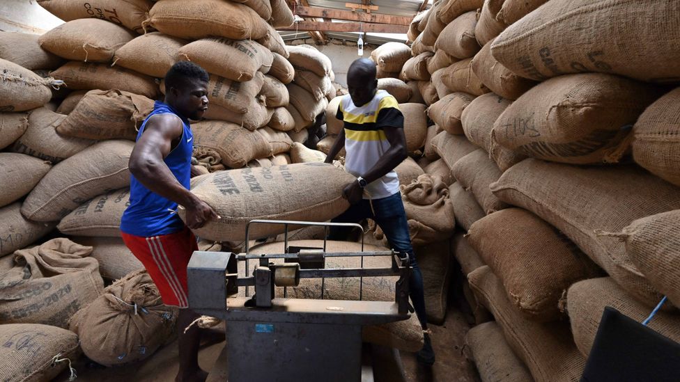 La gran planta en Costa de Marfil es la primera de nueve instalaciones adicionales planeadas para hacer uso de cáscaras de cacao y otra biomasa (Crédito: Getty Images)