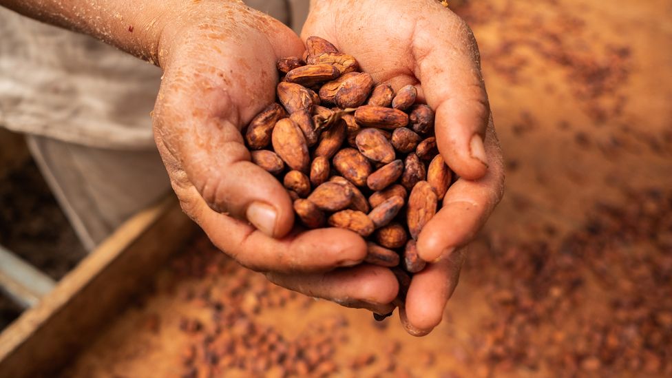 The chocolate we enjoy today is a much more processed and refined food than the one enjoyed by the Aztecs centuries ago (Credit: Mauricio Palos/Bloomberg/Getty Images)