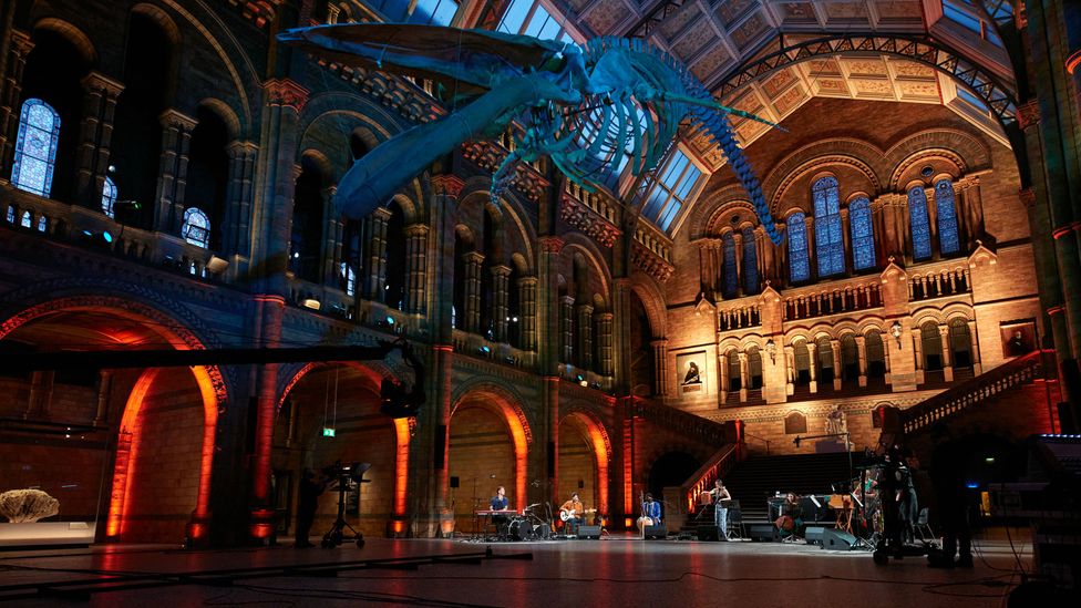 A Spell Songs performance raised £105k to help the Natural History Museum launch a UK movement linking communities with urban nature (Credit: Trustees of Natural History Museum)