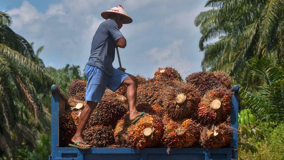 Food that has palm oil or soya in it will have a higher carbon footprint than other vegetarian foods (Credit: Getty Images)