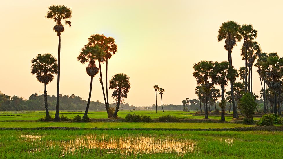 The ancient Cambodian silk that was almost lost - BBC Travel