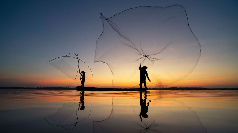 'Shifting baseline syndrome' was first proposed to describe the invisible long-term decline of fisheries (Credit: Getty Images)