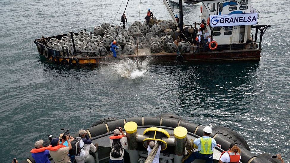 The reef-balls are dropped into the sea, where organisms will hopefully colonise them (Credit: Orlando Estrada/Getty Images)