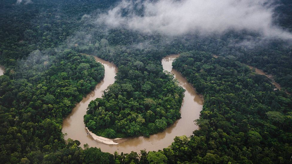 The world's first "Wilderness Quiet Park" is located in Ecuador's Amazon Rainforest (Credit: Mark Fox/Getty Images)