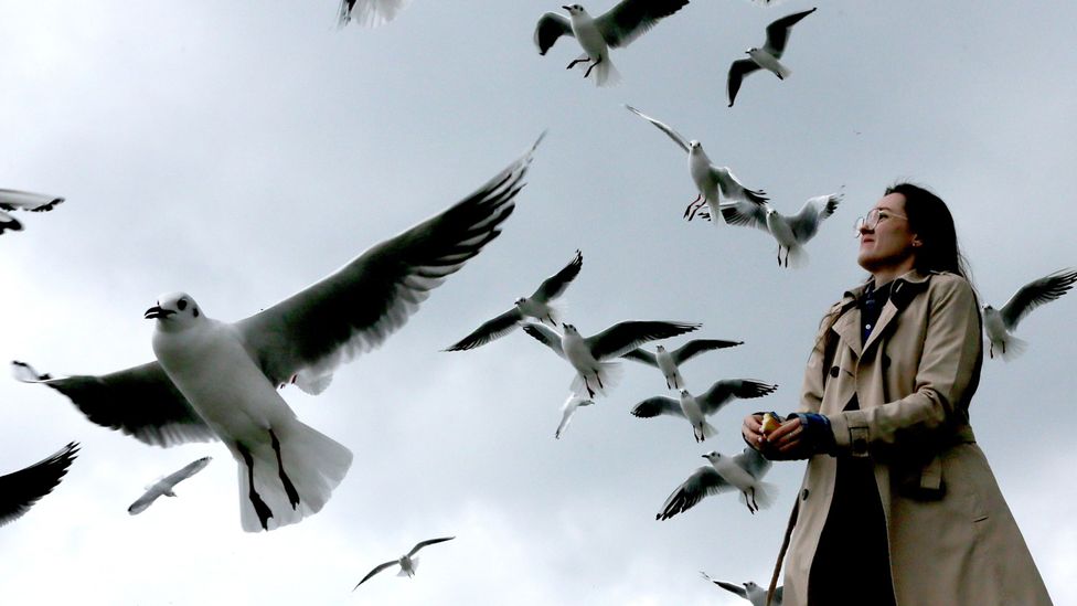 Having an embodied experience with birds or other wildlife can encourage young people to be interested in and learn about nature (Credit: Getty Images)