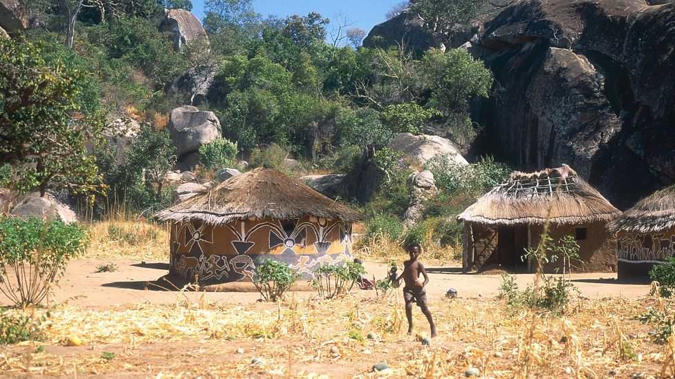 Mabiza and his colleagues set up conservation clubs in local schools as a way of introducing communities to citizen-science initiatives (Credit: The Image Bank/Getty Images)