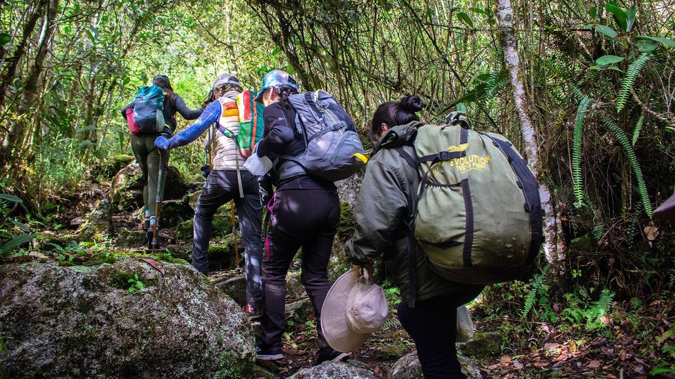 Women first started working as porters on the Inca Trail in 2017. There's now an all-women trek with women guides, porters and guests (Credit: Evolution Treks Peru)