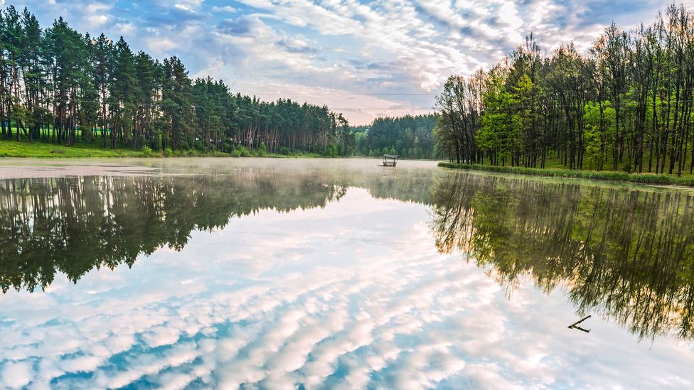 Clouds reflected on water in a peaceful natural setting outside Kyiv, Ukraine