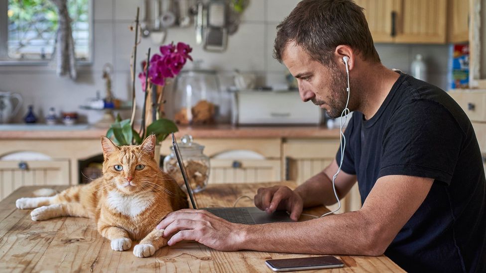 But despite challenges, some experts say that the pandemic-era remote work experiment was more successful than anyone could have guessed (Credit: Getty Images)