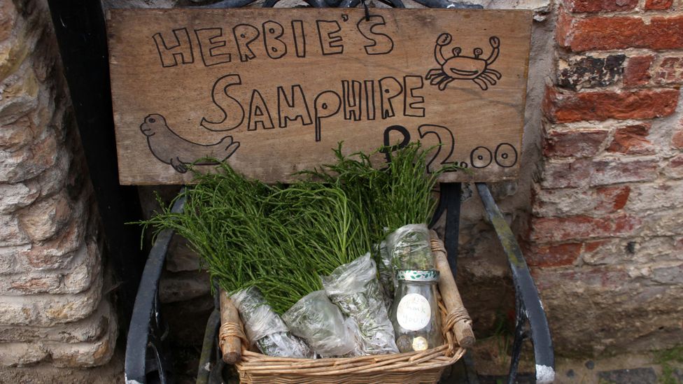 At its best between June and August, samphire is a beloved seasonal delicacy around the Norfolk coast (Credit: Laurence Mitchell)