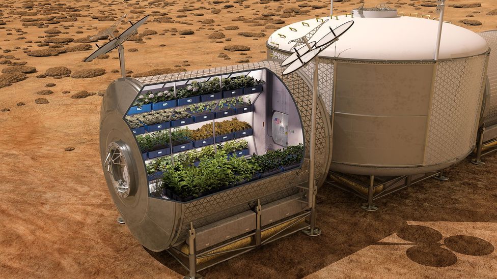 The research could help plans to create greenhouses to feed settlements on the Moon or Mars (Credit: Nasa)