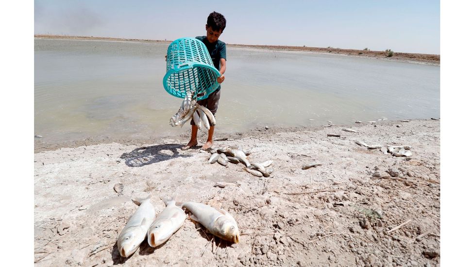 Falling water quality around Basra, southern Iraq, has been exacerbated by reduced river flows due to damming in Turkey (Credit: Haidar Mohammed Ali/AFP/Getty Images)