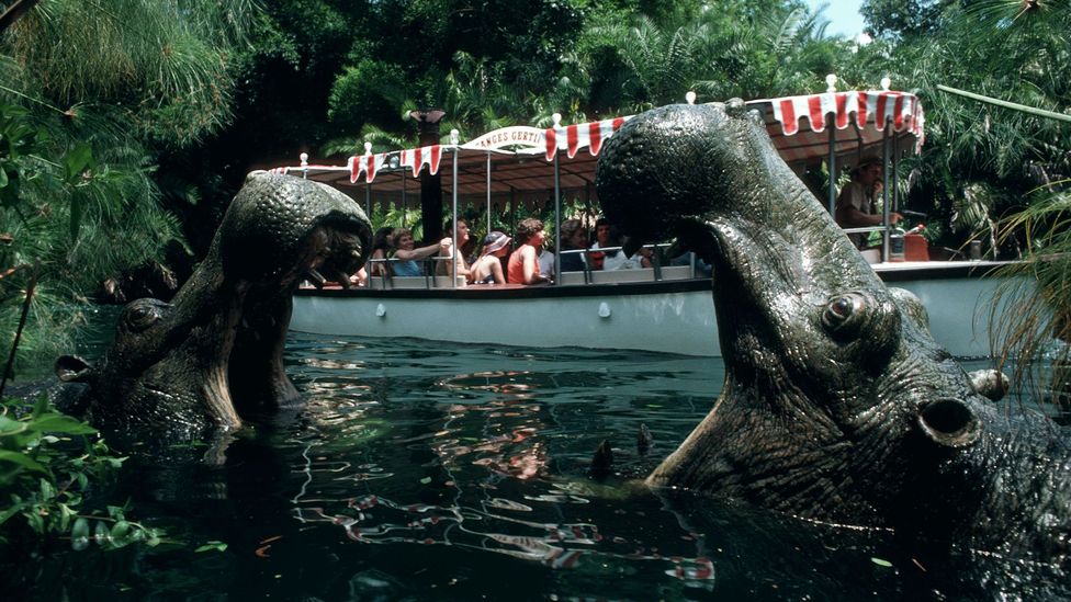 The Jungle Cruise ride is among the attractions that have been updated in line with modern values (Credit: Disney+)