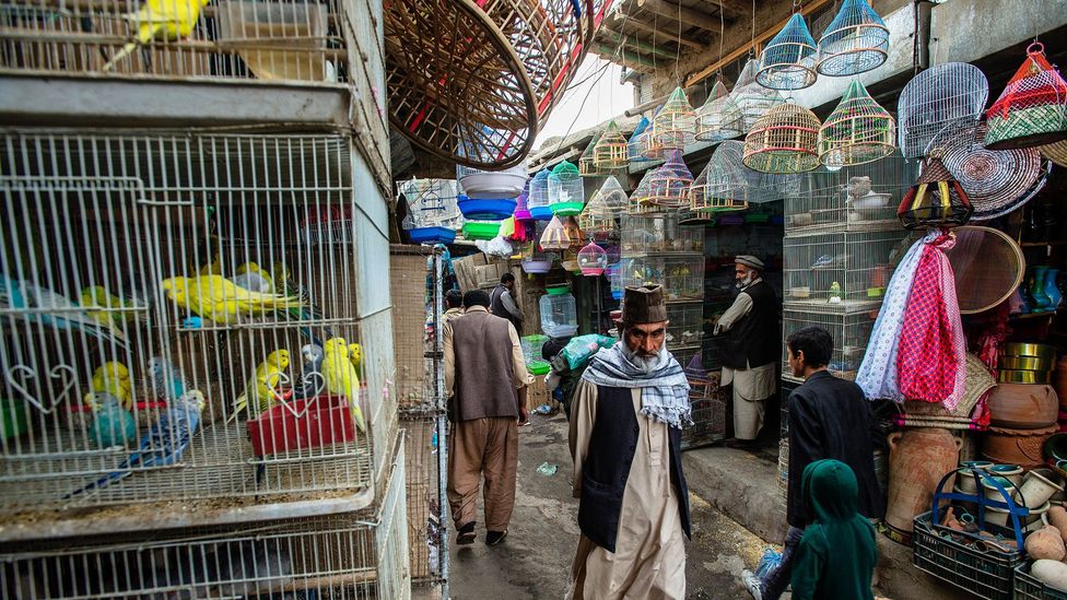 Kabul's bird market, Ka Faroshi, is home to Bacha Broot, a restaurant specialising in traditional Afghan teapot stew (Credit: Oleksandr Rupeta/Alamy)