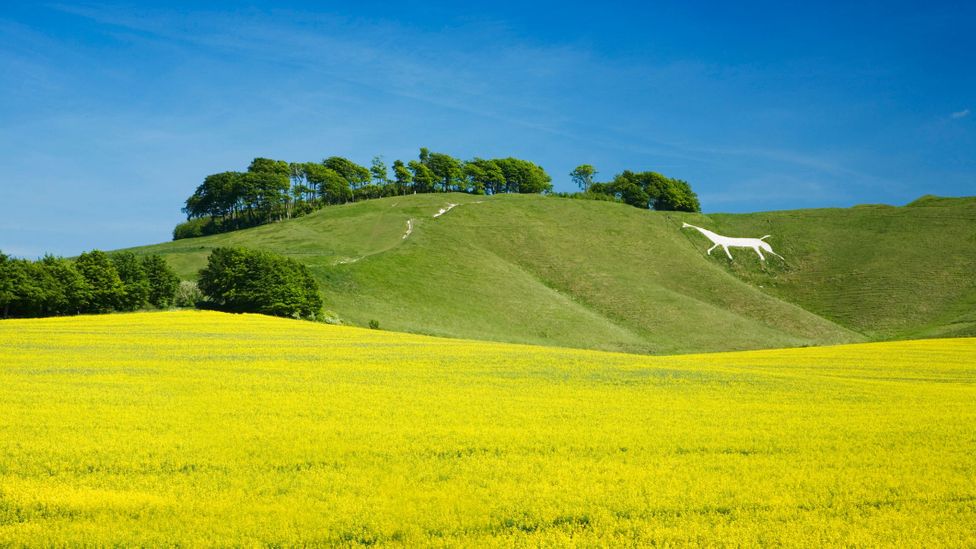 Carved into the chalky hillside, the Cherhill white horse is the second oldest of Wiltshire's iconic horse figures (Credit: James Osmond/Getty Images)