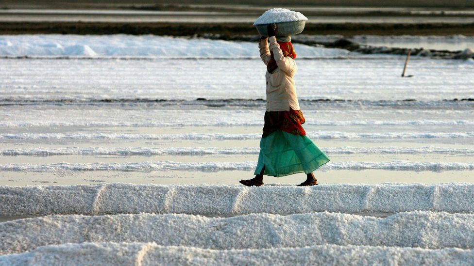 Today, the majority of India's salt comes from the west of the country and no one has to smuggle it across any hedges (Credit: Alamy)