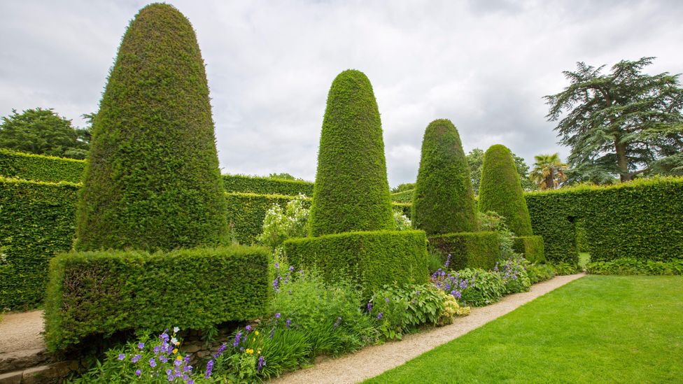 Unlike the whimsical hedges in traditional English gardens, the customs hedge was designed to divide (Credit: Alamy)