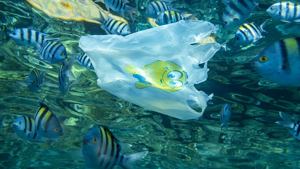 Humanity produces millions of tonnes of plastic waste every year and a large amount of it escapes to pollute natural habitats (Credit: Andrey Nekrasov/Getty Images)