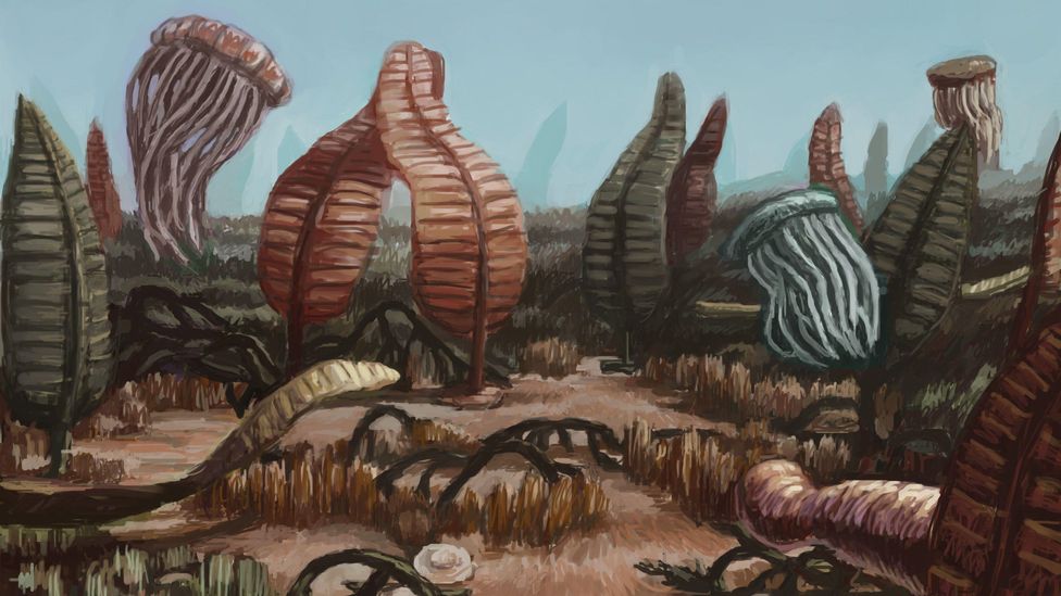 Life before the Cambrian explosion consisted of a strange assortment of soft-bodied creatures, many of which would be unrecognisable today (Credit: Alamy) Life before the Cambrian explosion consisted of a strange assortment of soft-bodied creatures, many of which would be unrecognisable today (Credit: Alamy)