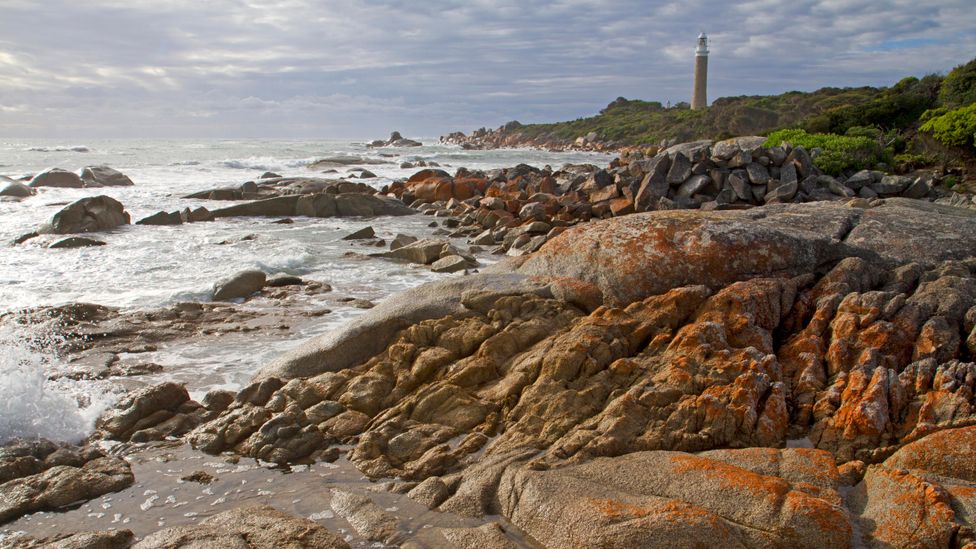 Colourful coastline on Flinders Island, part of the Furneaux island group