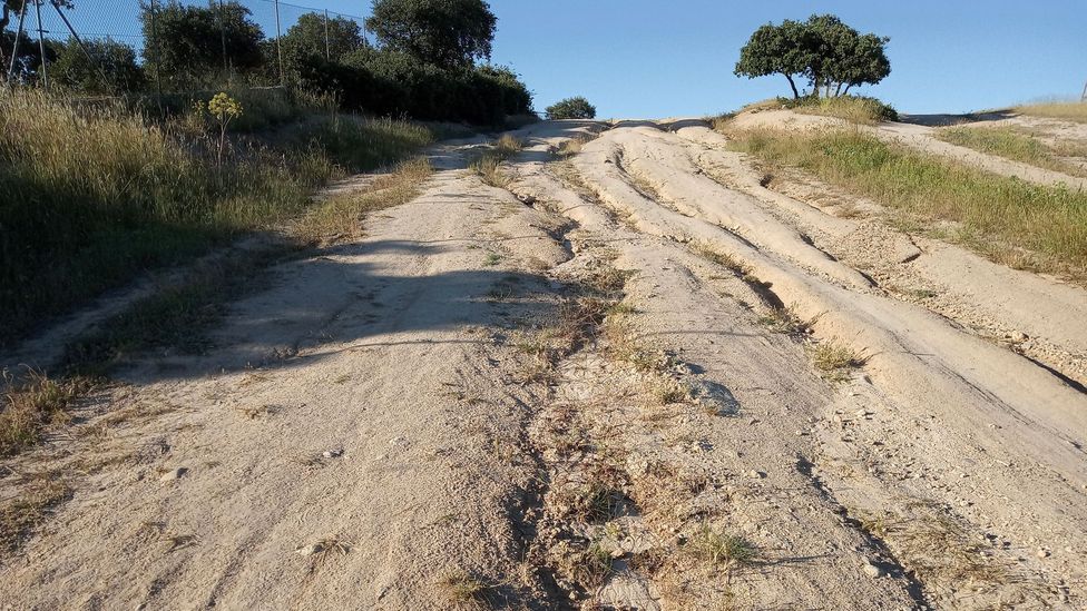 Drove roads around the country are in bad condition after decades of abandonment, encroachment and inappropriate vehicle use (Credit: Life Cañadas) Drove roads around the country are in bad condition after decades of abandonment, encroachment and inappropriate vehicle use (Credit: Life Cañadas)