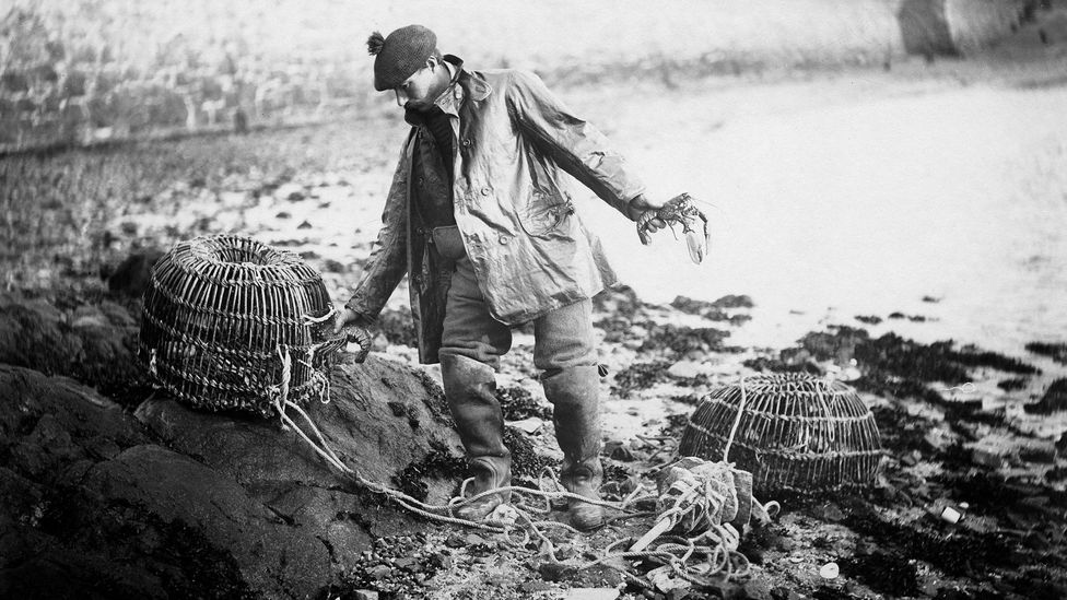 Lobster was once so abundant that it was used as fertiliser and served to prisoners (Ullstein Bild/Getty Images).
