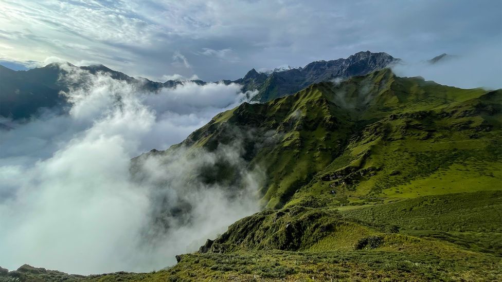 Le chhurpi est fabriqué haut dans les régions reculées de l'Himalaya et est considéré comme le fromage le plus dur du monde (Crédit : Neelima Vallangi)