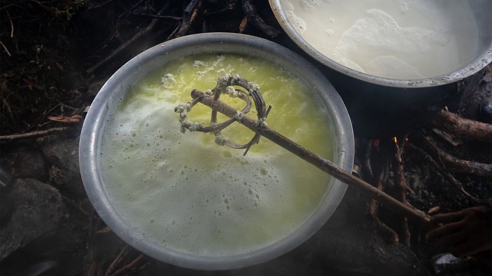 Pasang et sa famille collectent quotidiennement du lait frais qui est ensuite transformé en fromage chhurpi (Crédit : Bijayabar Pradhan)