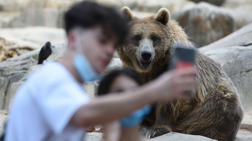 Humanity has grown to think that there is a huge gulf between our own species and other animals (Credit: Jorge Sanz/Getty Images) Humanity has grown to think that there is a huge gulf between our own species and other animals (Credit: Jorge Sanz/Getty Images)