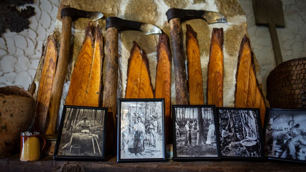 Today, many families in the region proudly display old pine resin extracting tools and photographs of their relatives 