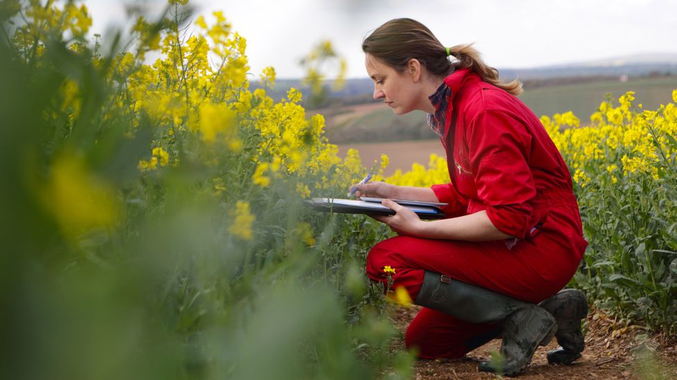 Intensive agriculture can deplete soils of nutrients and carbon over time, making them less profitable (Credit: Getty Images)