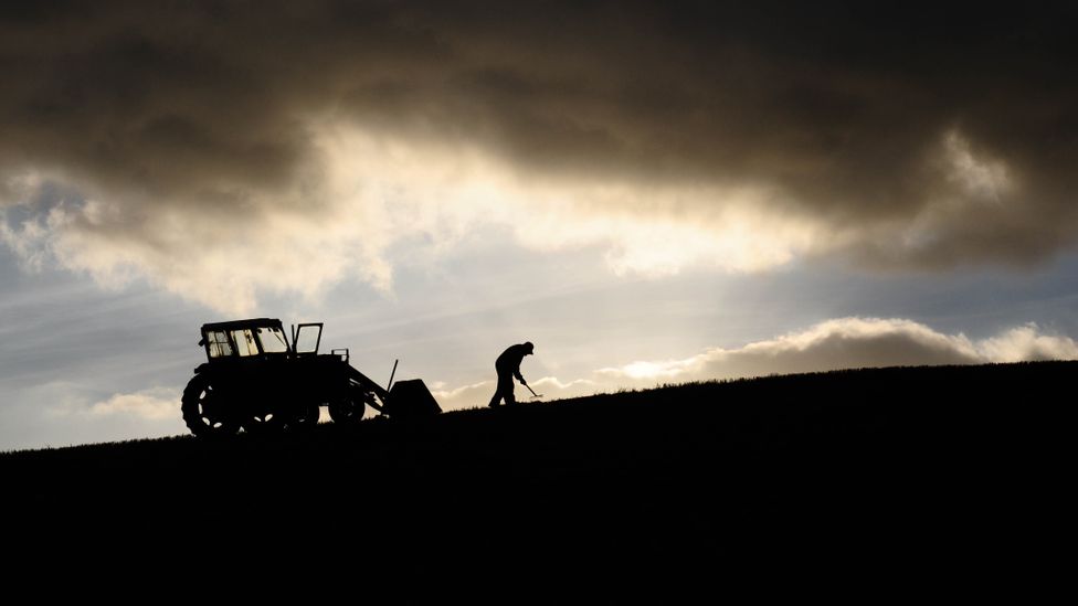 Carbon farming can help provide an alternative source of income to farmers whose land is degraded, while improving the quality of the soil at the same time (Credit: Getty Images)