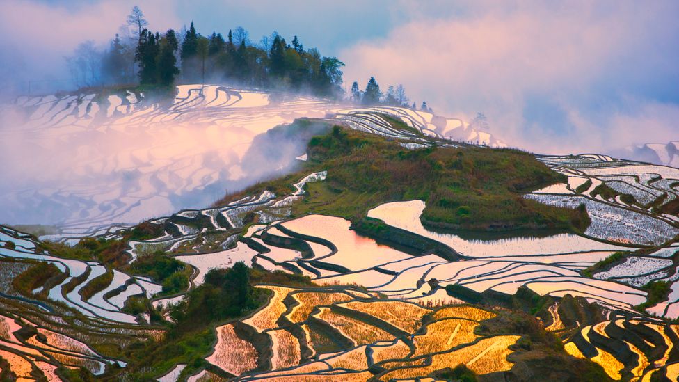 Sprawling Honghe Hani Rice Terraces in clouds in Yuanyang, China