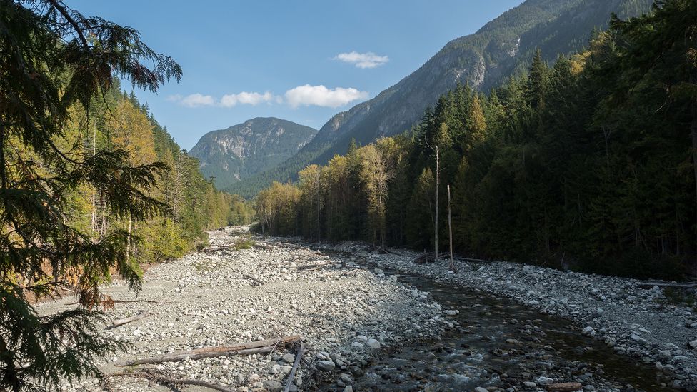 The trail starts by the glacier-fed Bella Coola River and extends for 279 miles (Credit: Diane Selkirk)