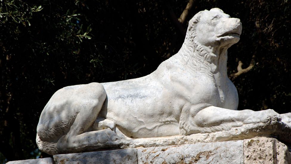 The muscular, lion-like Molossian, described by one poet as having "genuine strength unspeakable and dauntless courage", was often sent to war in ancient Greece (Credit: Alamy)