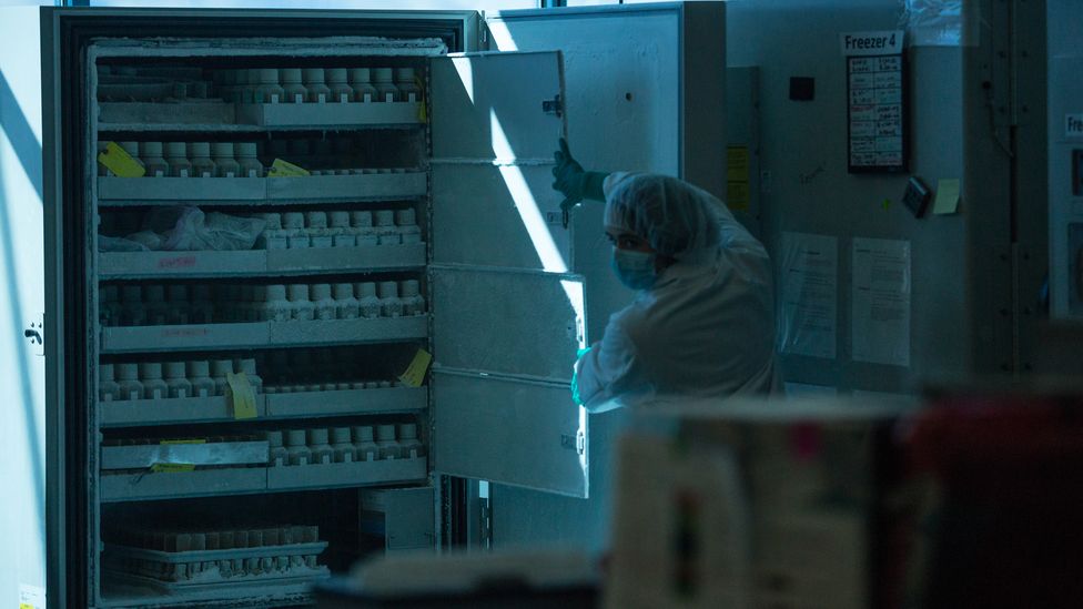 After careful screening microbiota from healthy patients are frozen and stored in stool banks ready to be transplanted (Credit: OpenBiome)