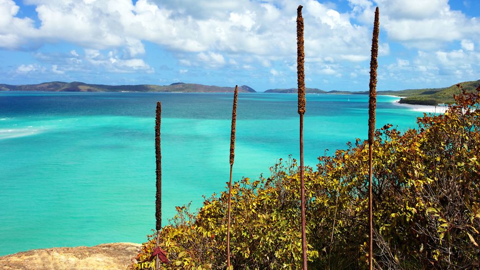 Around 70 traditional custodian groups have lived alongside the Great Barrier Reef for tens of thousands of years (Credit: Hypergurl/Getty Images)