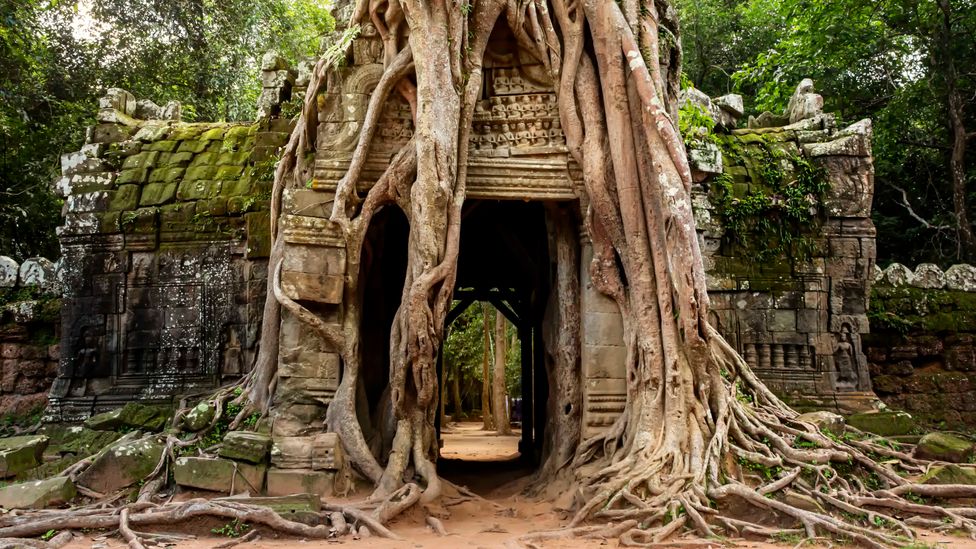 Abandoned in the 15th Century, Angkor was only "rediscovered" in the 1860s (Credit: Kriangkrai Thitimakorn/Getty Images)