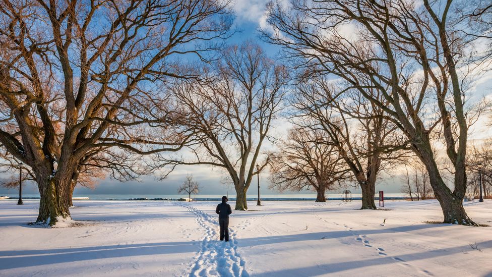 While most people visit Toronto in summer, winter can be a gorgeous and less crowded option (Credit: Benedek/Getty Images)