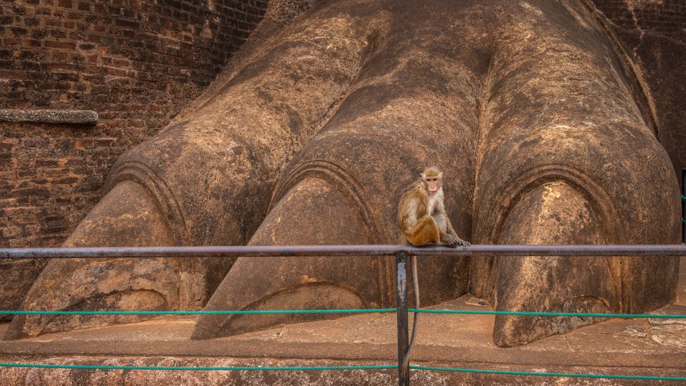 The 5th-Century palace was built to resemble a lion, with the paws flanking the main entrance (Credit: Boy_Anupong/Getty Images)