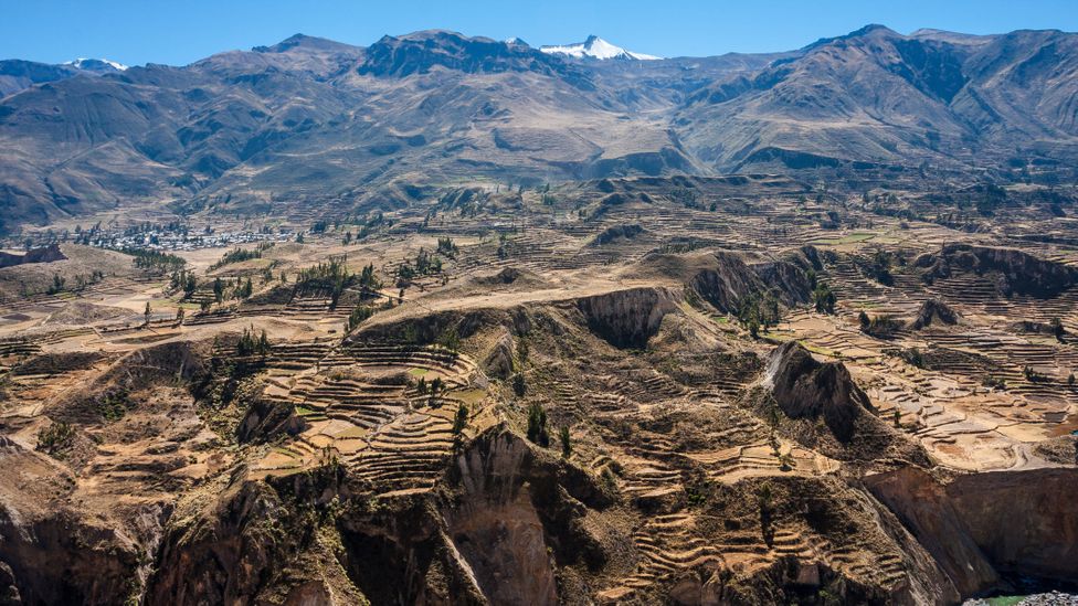 The dramatic Colca Canyon in southern Peru is twice as deep as the Grand Canyon (Credit: Albert Engeln/Getty Images)